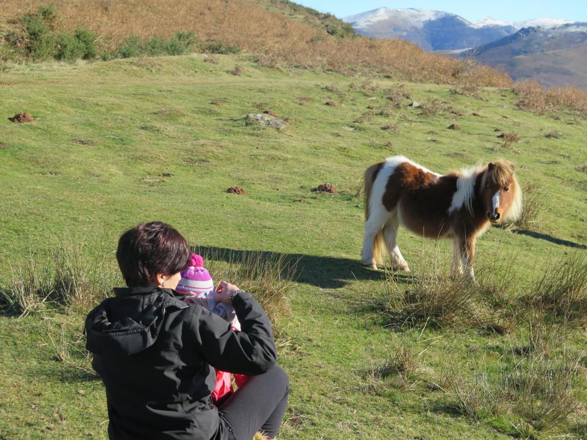 Casa Rural Urruska Elizondo Exteriér fotografie