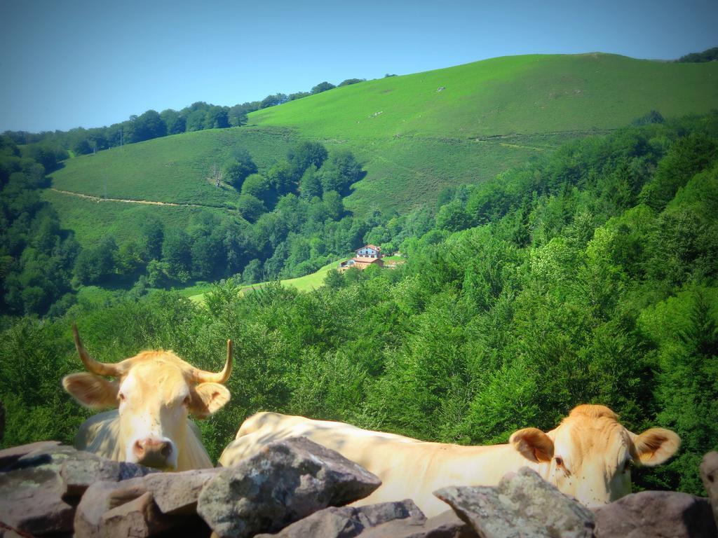 Casa Rural Urruska Elizondo Exteriér fotografie