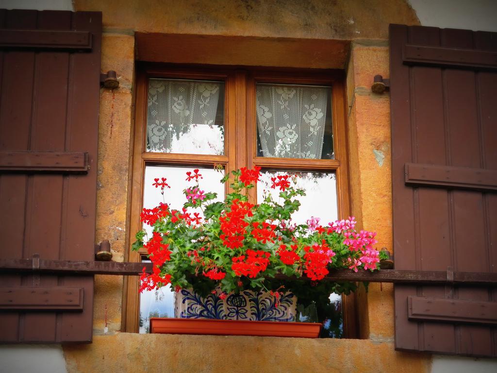 Casa Rural Urruska Elizondo Exteriér fotografie