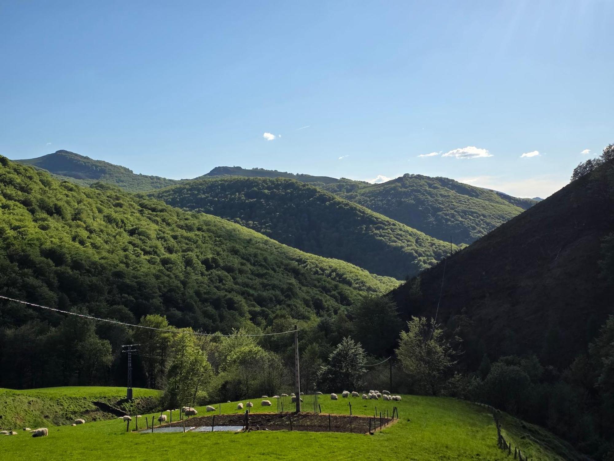 Casa Rural Urruska Elizondo Exteriér fotografie
