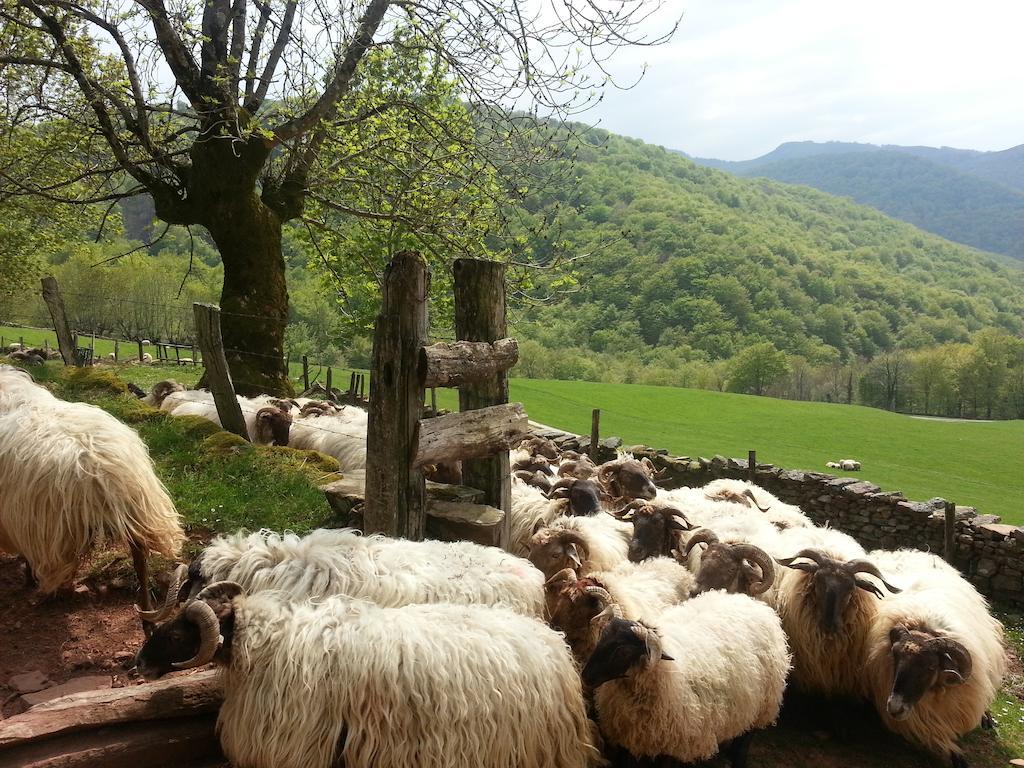 Casa Rural Urruska Elizondo Exteriér fotografie