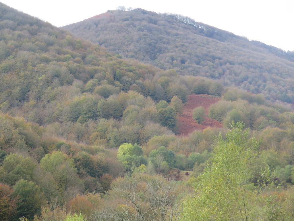 Casa Rural Urruska Elizondo Exteriér fotografie
