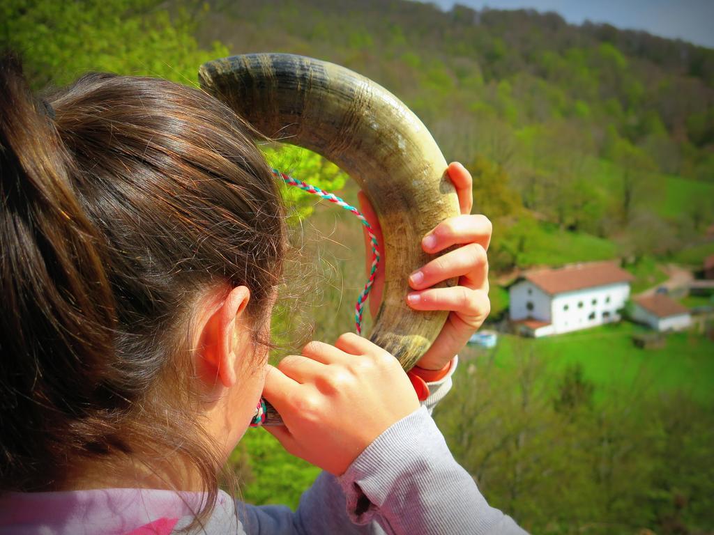 Casa Rural Urruska Elizondo Exteriér fotografie
