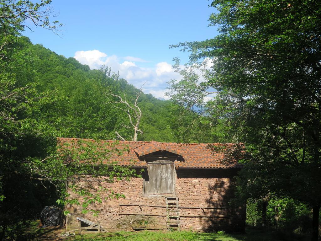 Casa Rural Urruska Elizondo Exteriér fotografie